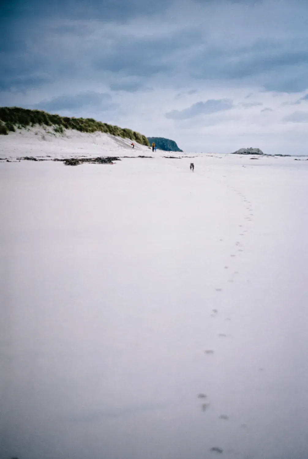 Footsteps leading across a wide, quiet beach